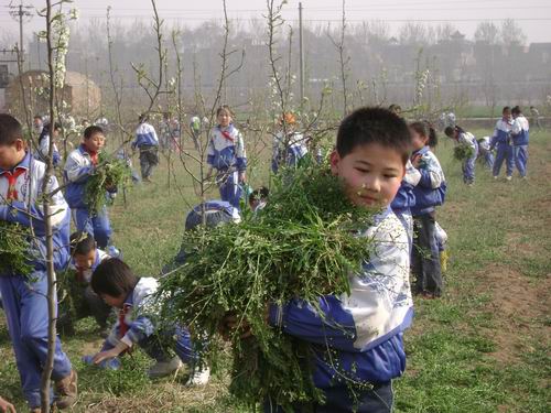 鞏義市實驗國小