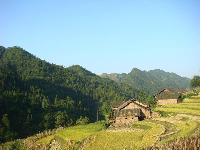 三合頭自然村(中屯鄉郭家河村委會下轄自然村)