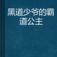 黑道少爺的霸道公主