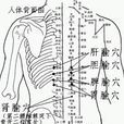 李氏胃炎貼