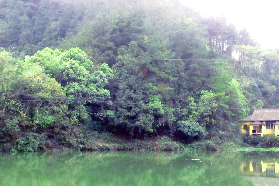 湄潭龍泉省級森林公園