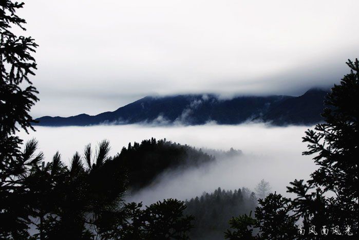 江西遂川南風面國家級自然保護區