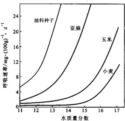 呼吸速率