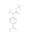 6-[2-（叔丁氧羰基）肼基]煙酸