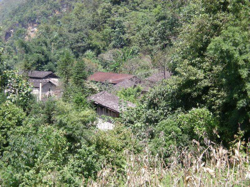 茅草寨村(雲南省紅河州河口縣橋頭鄉茅草寨村)