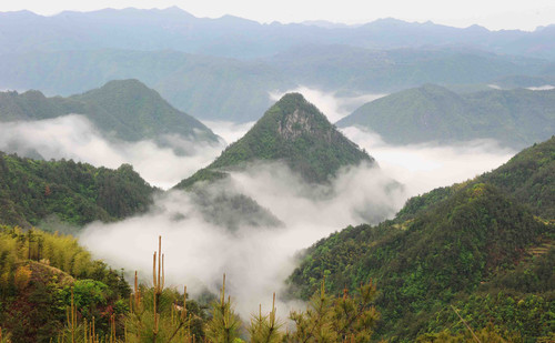 荊州村