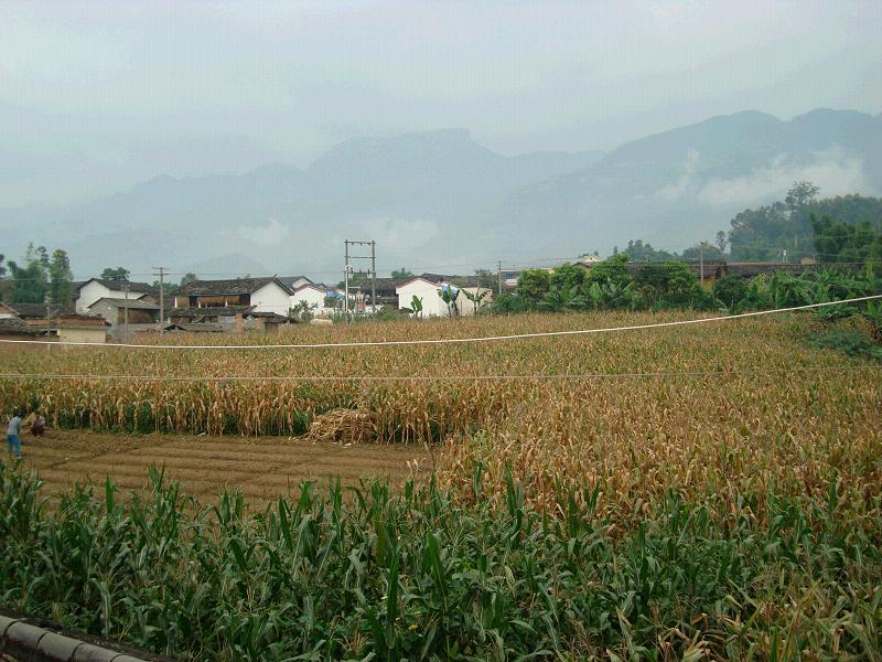 芒舊山村