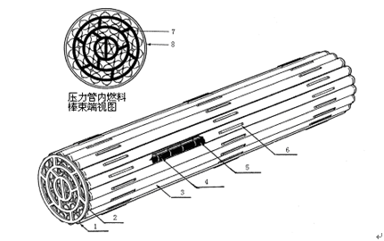 圖1  CANDU-6型燃料棒束外形