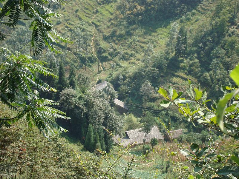 長灣自然村(羅布鄉青龍村委會下轄自然村)