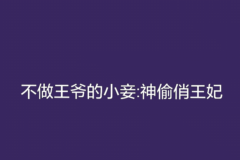 不做王爺的小妾：神偷俏王妃