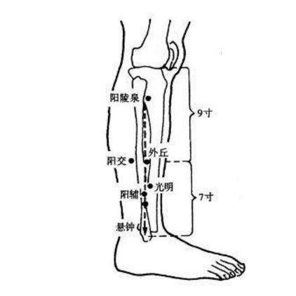 陽交穴