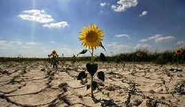 防治荒漠化和乾旱世界日