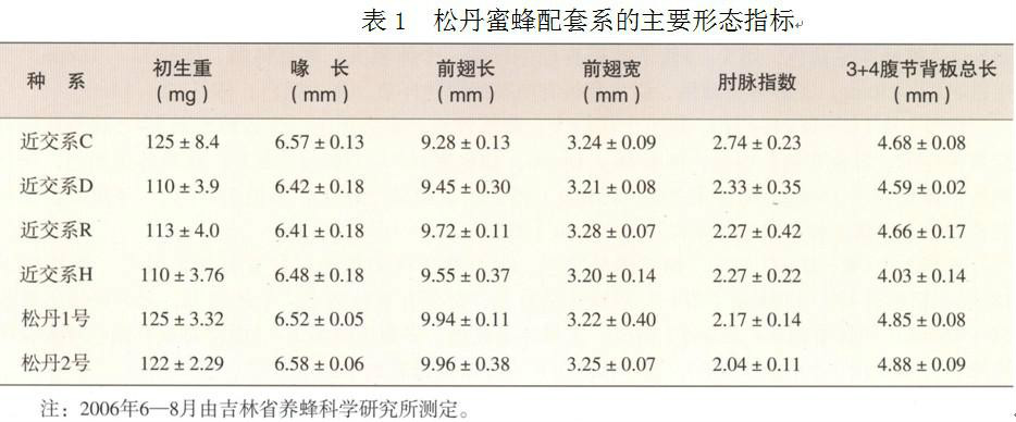 松丹蜜蜂配套系的主要形態指標