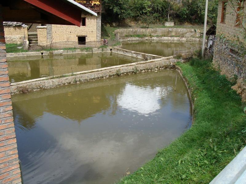 魚塘自然村(翠華鎮雄魁村委會下轄自然村)