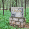 費縣故城遺址