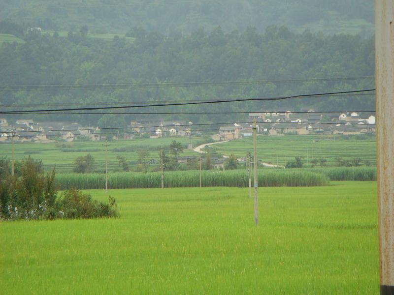 芒林村