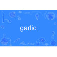 garlic