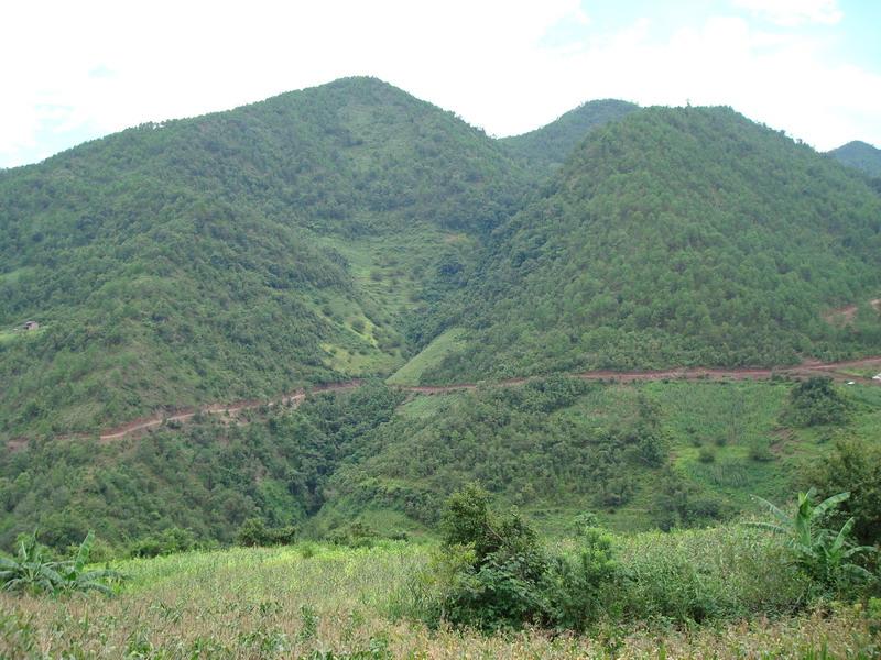 山背後自然村(雲南普洱鎮沅縣者東鎮東灑村委山背後自然村)