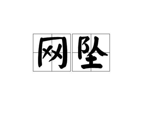 網墜(漢語詞語)