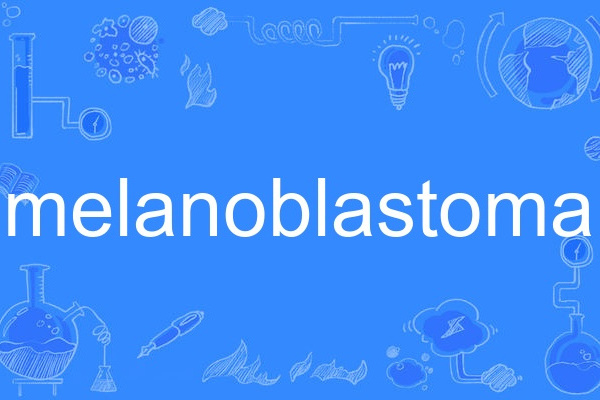 melanoblastoma