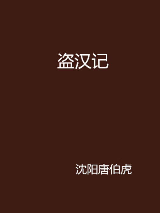 盜漢記