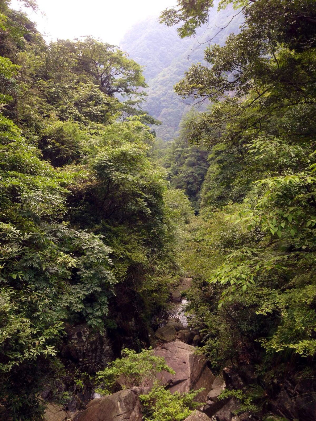 浙江花岩國家森林公園