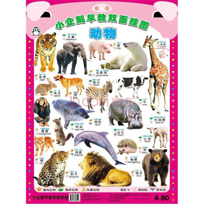 小企鵝早教雙面掛圖：動物