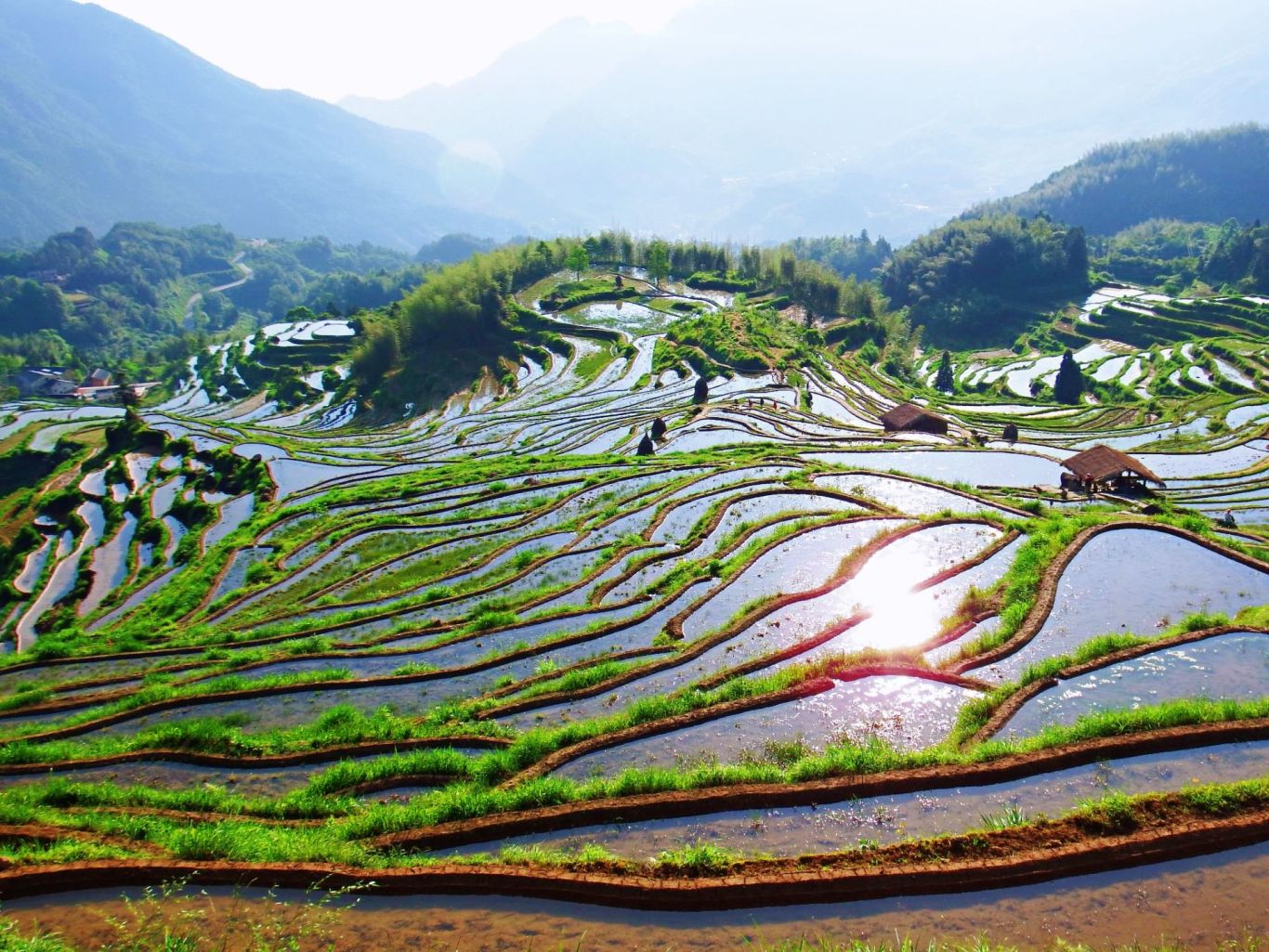 雲和梯田景區