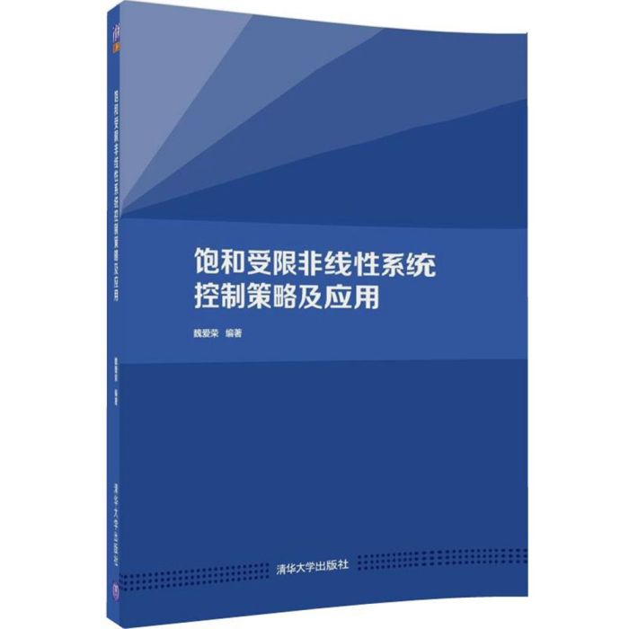 飽和受限非線性系統控制策略及套用