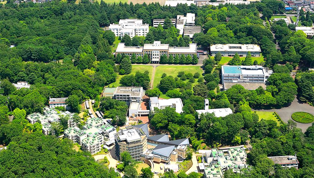 國際基督教大學(日本國際基督教大學)