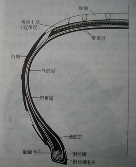 圖2 轎車子午胎斷面