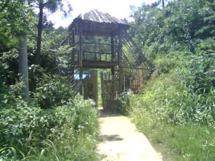 江西馬祖山國家森林公園