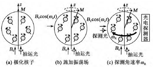 核陀螺儀