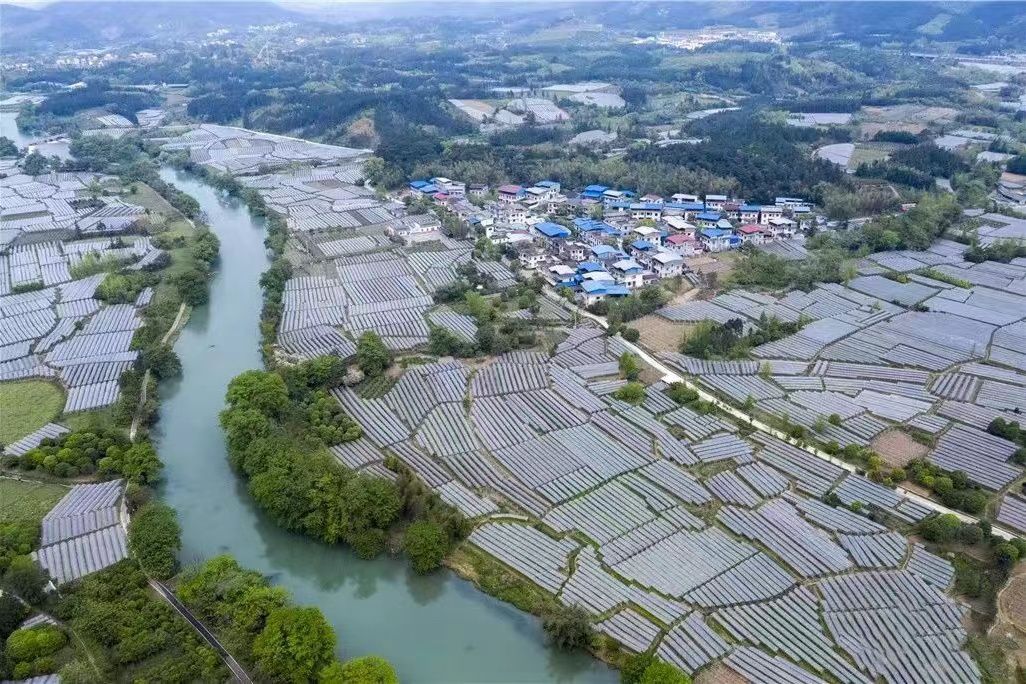 花橋村(廣西壯族自治區桂林市興安縣湘漓鎮下轄村)