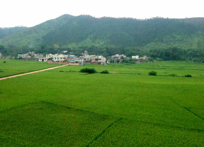 南山村(貴州省遵義市紅花崗區南關鎮南山村)