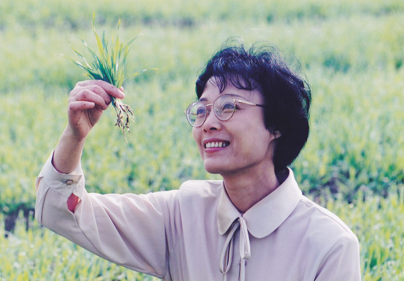 麥綠素