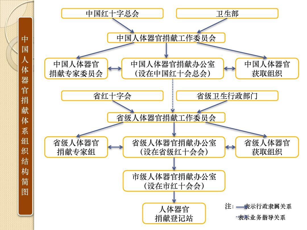 人體器官捐獻體系