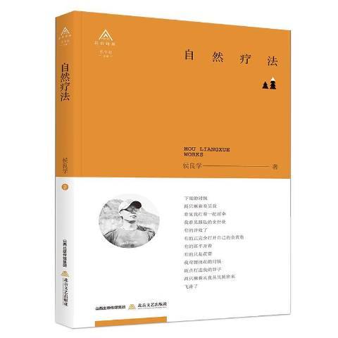 自然療法(2018年北嶽文藝出版社出版的圖書)