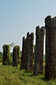 圖1西素帕勒格勒赫遺址