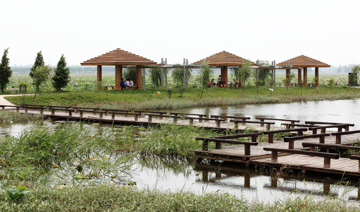 團湖荷花公園