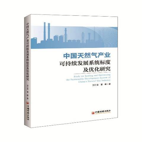 中國天然氣產業可持續發展系統標度及最佳化研究