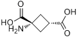 1-氨基環丁烷-順-1,3-二羧酸