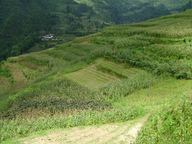 平壩村(黔西南布依族苗族自治州平壩村)