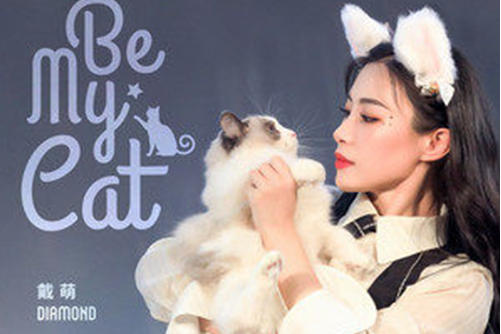 Be My Cat