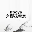 tfboys之櫻花蜜戀