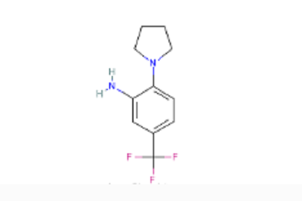 N-（2-氨基-4-三氟甲苯基）吡咯烷