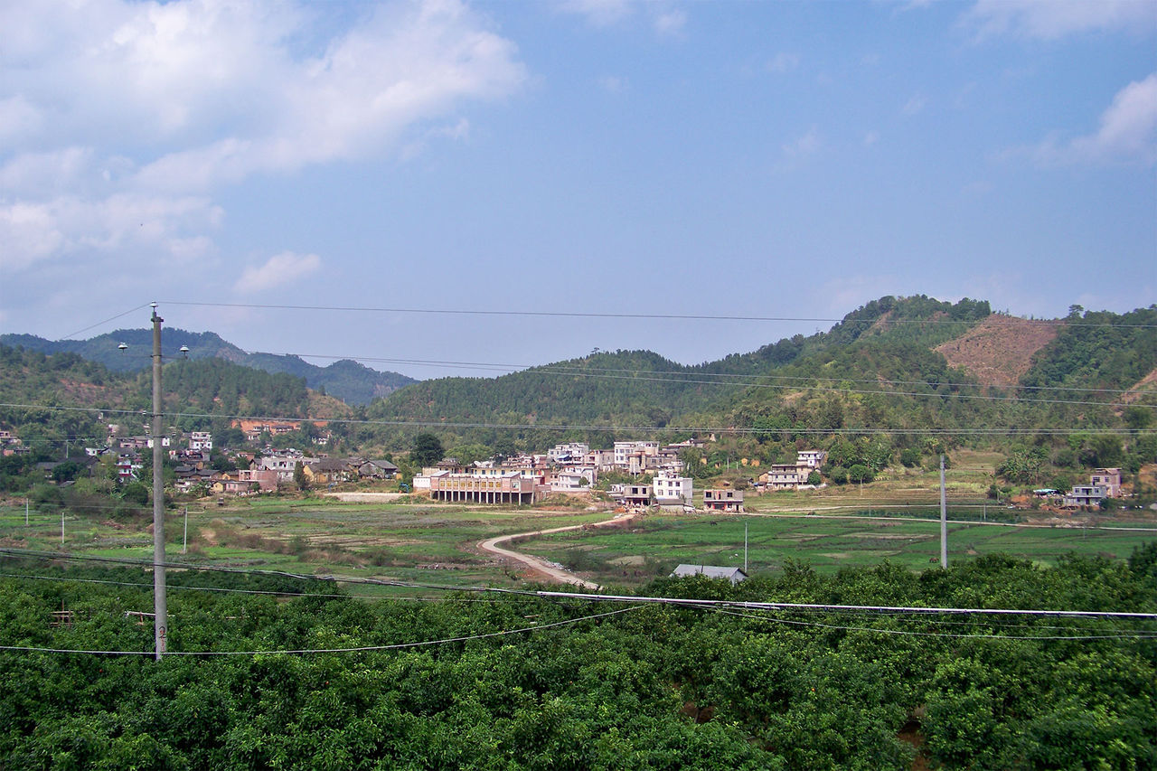 大岸村(江西崇義縣龍勾鄉下轄村)