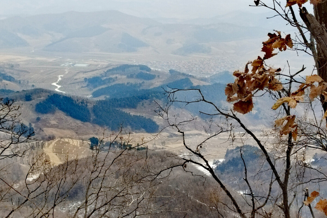 赤榆頂子山