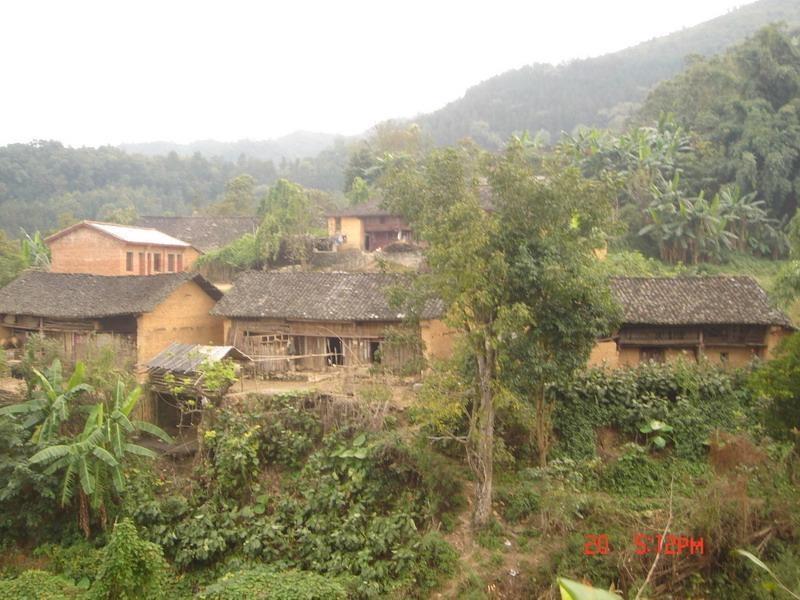 楊柳井村(貴州安順鎮寧縣良田鄉楊柳井村)