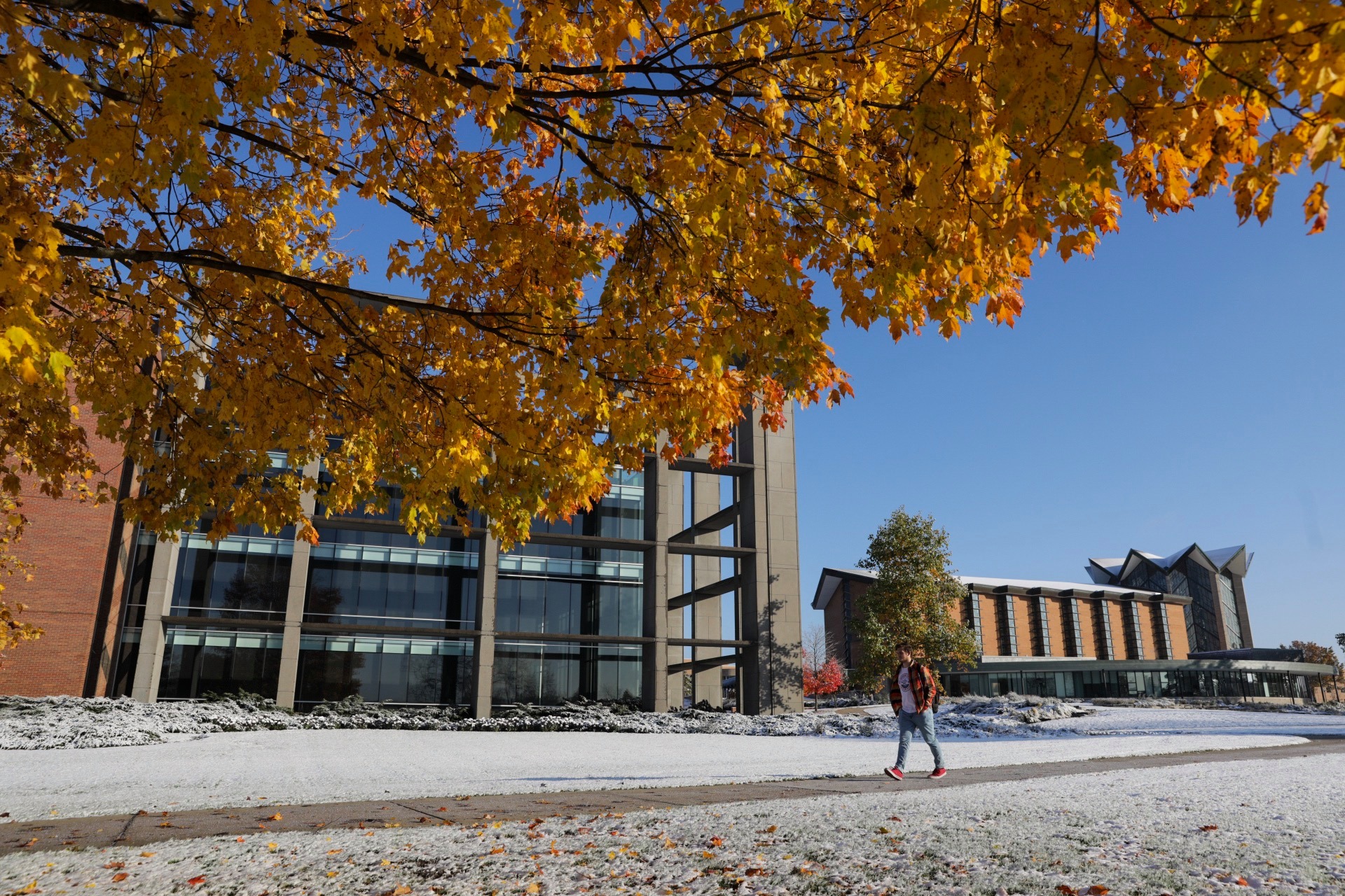 瓦爾帕萊索大學(valparaiso university)